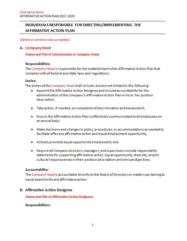 Affirmative Action Plan Template Word