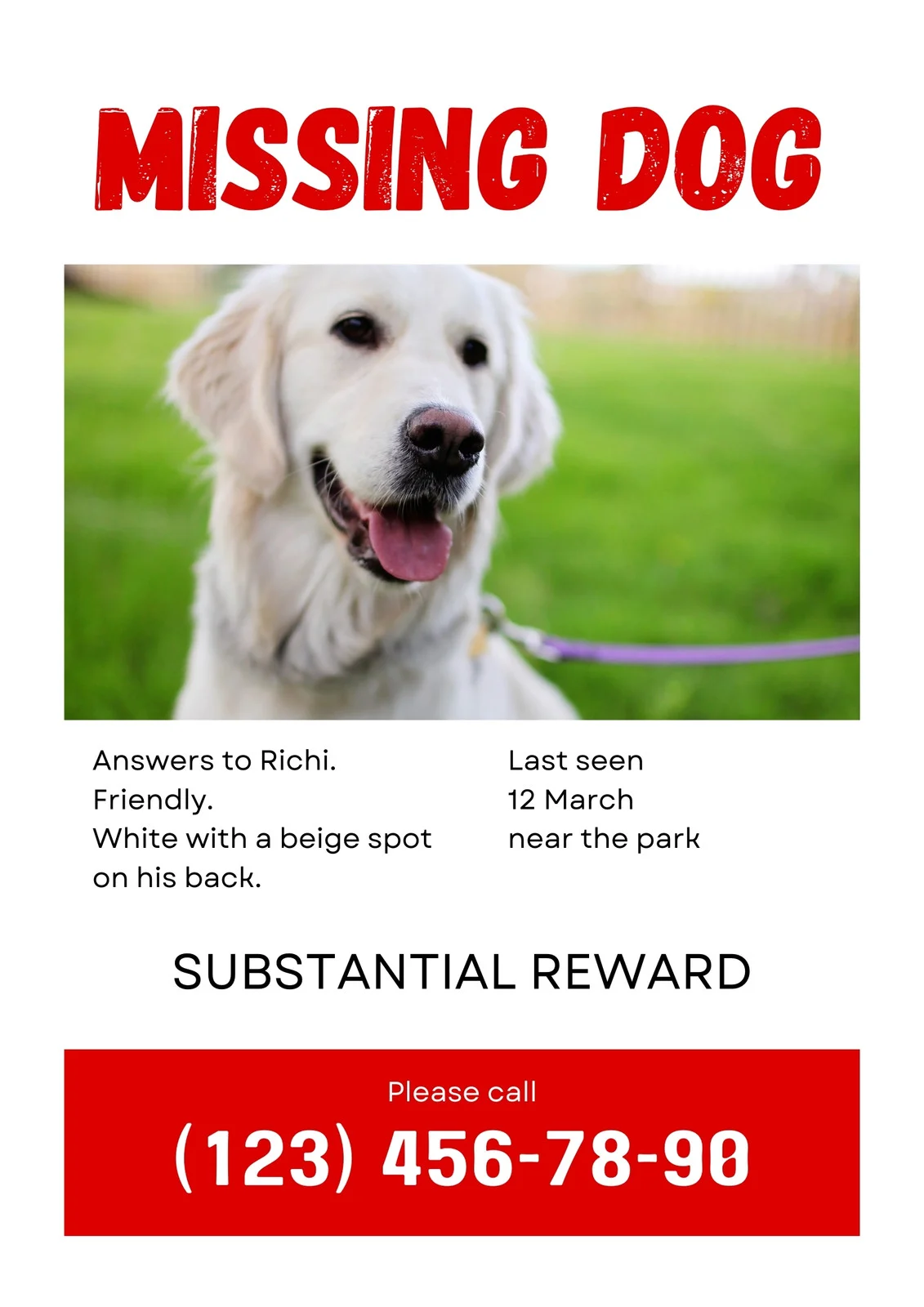 Example Missing Dog Poster Template Example Missing Dog Poster Template