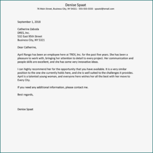 Reference Statement Example Professional References Template (Word)
