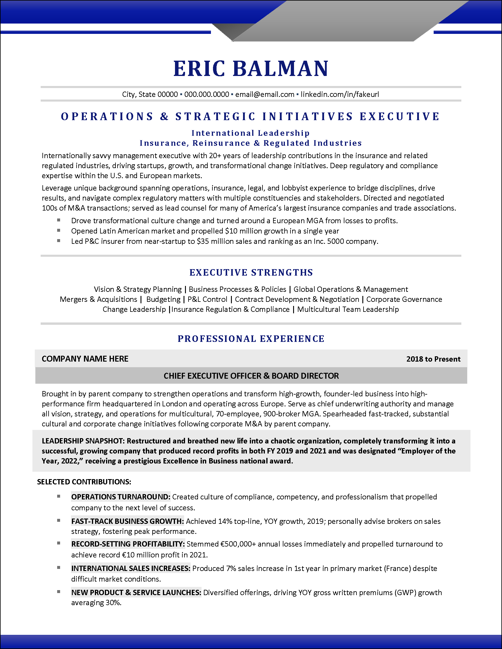 Executive Resume Template Example Executive Resume Template Example