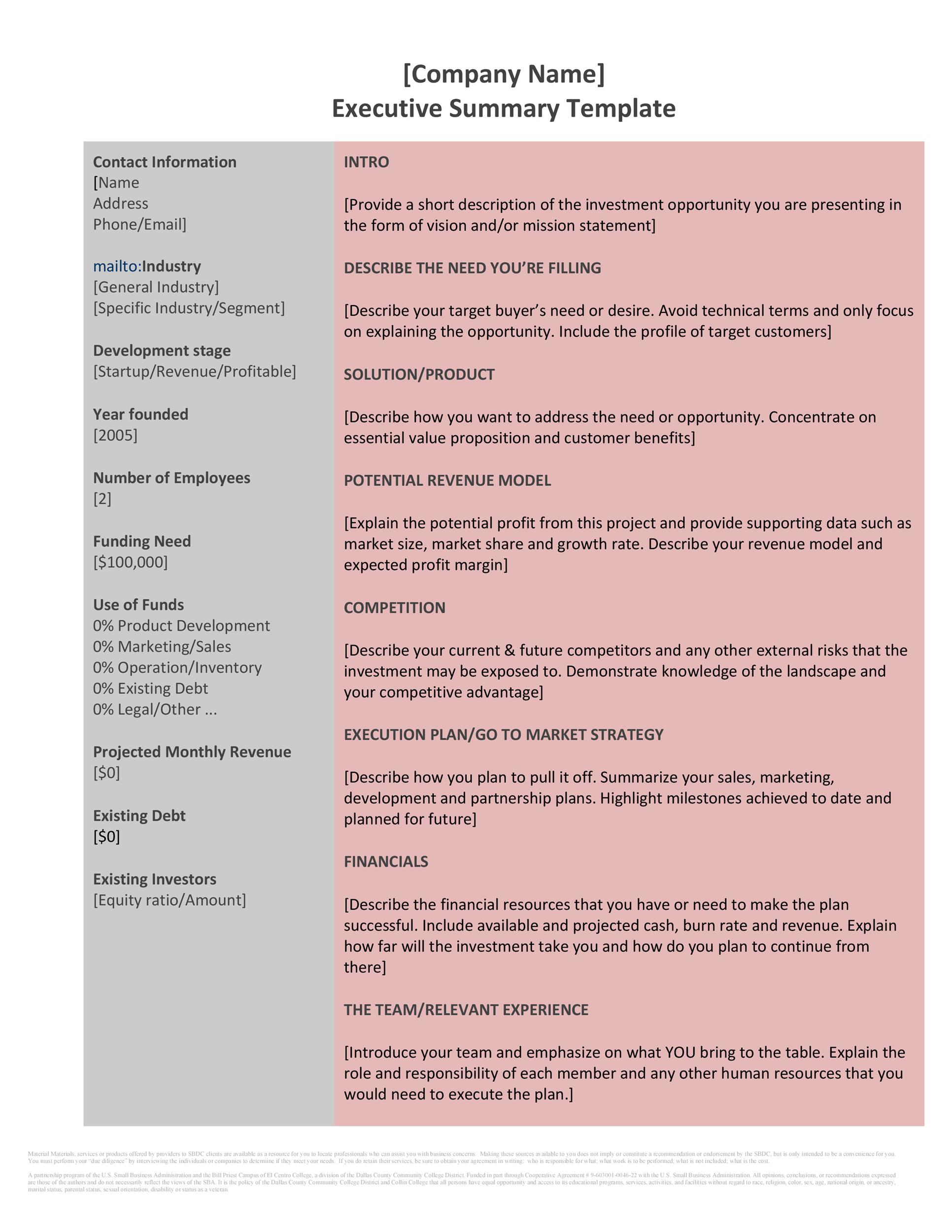 Executive Summary Template Example Executive Summary Template Example