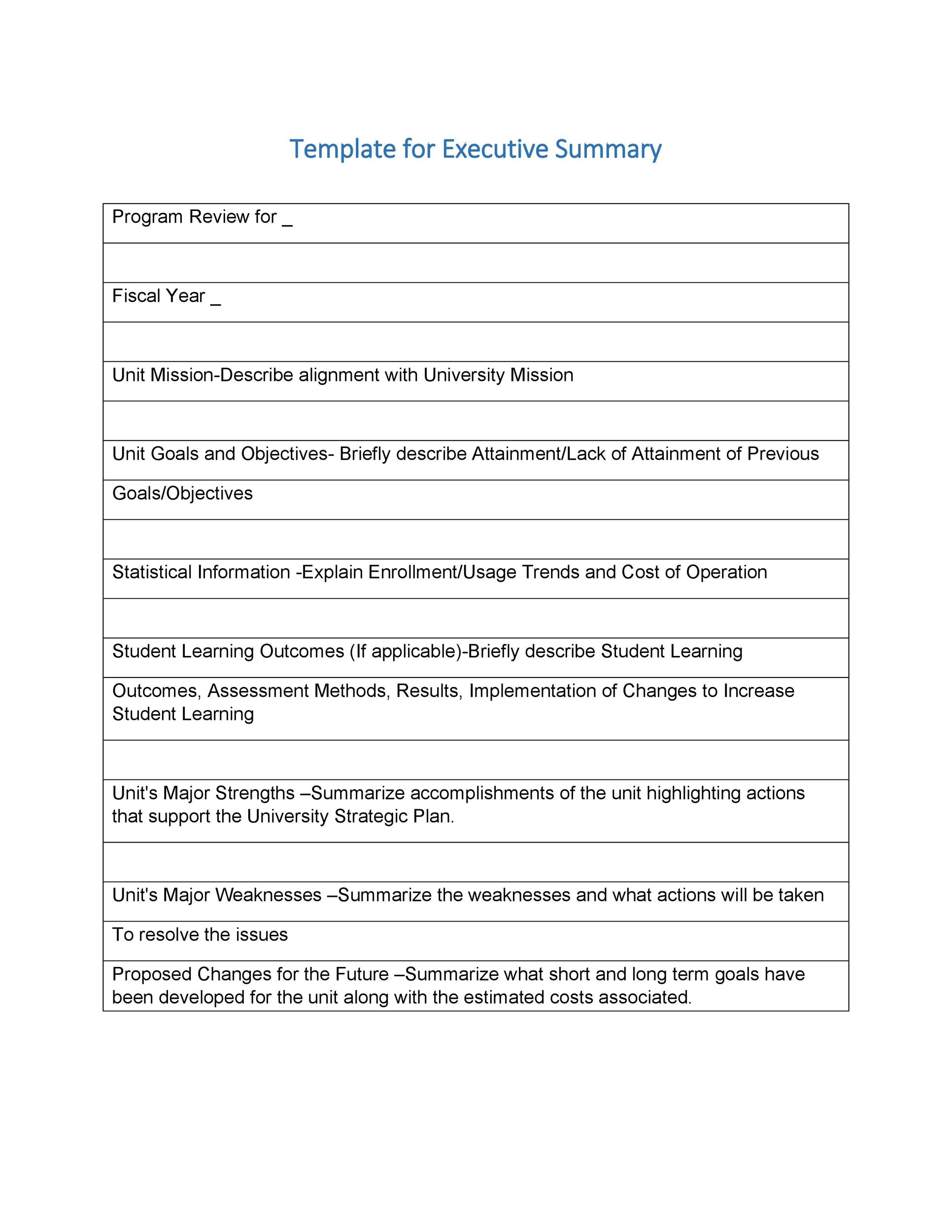 Executive Summary Template Executive Summary Template