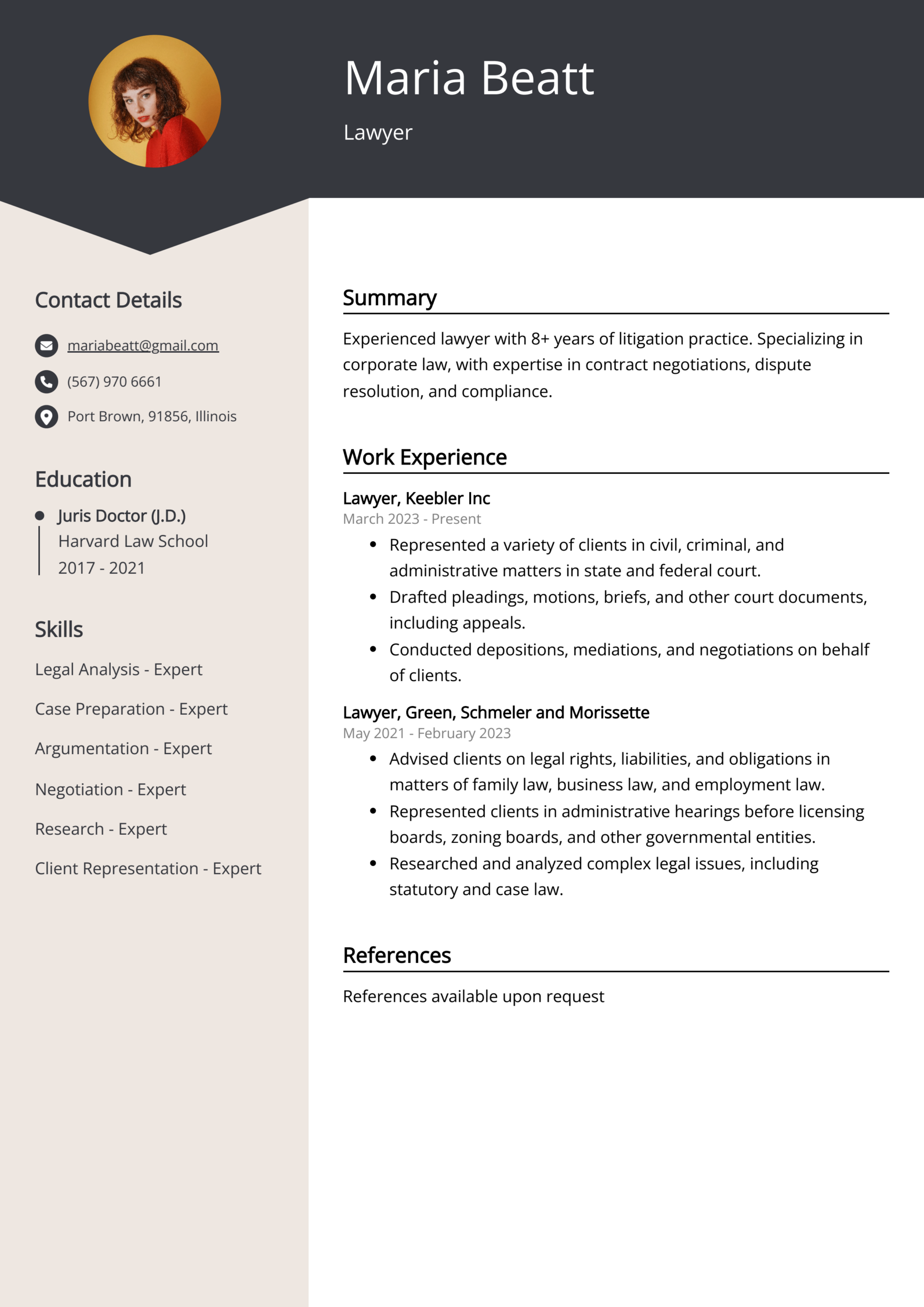 Lawyer Resume Template Lawyer Resume Template