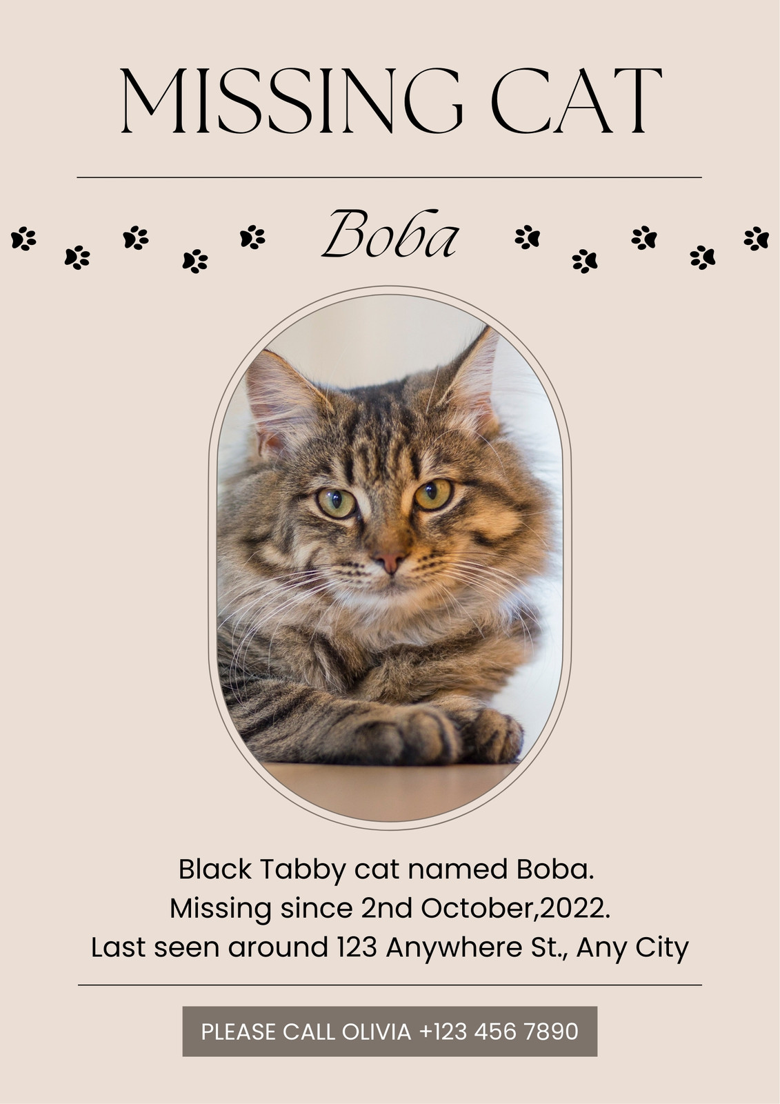 Missing Cat Poster Template Missing Cat Poster Template
