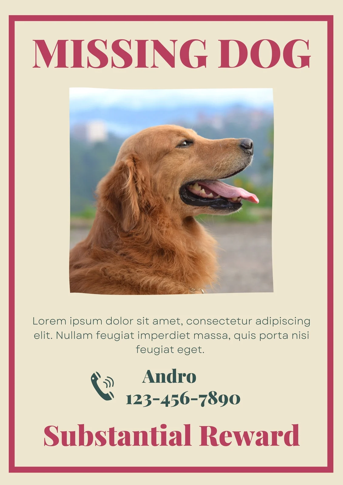 Missing Dog Poster Template Example Missing Dog Poster Template Example