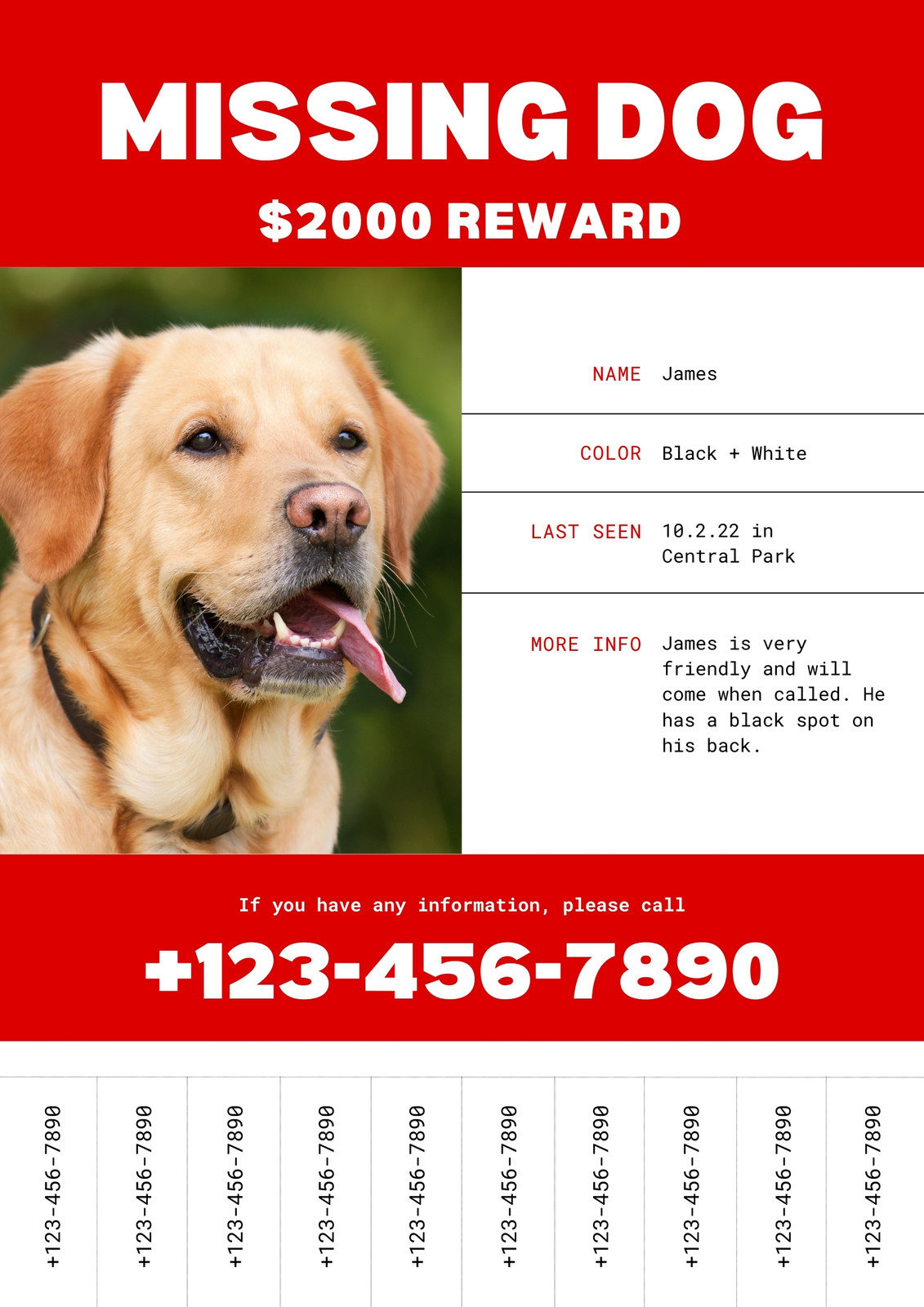 Missing Dog Poster Template Sample Missing Dog Poster Template Sample