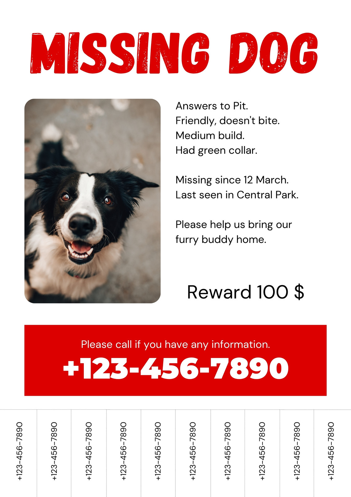 Missing Dog Poster Template Missing Dog Poster Template