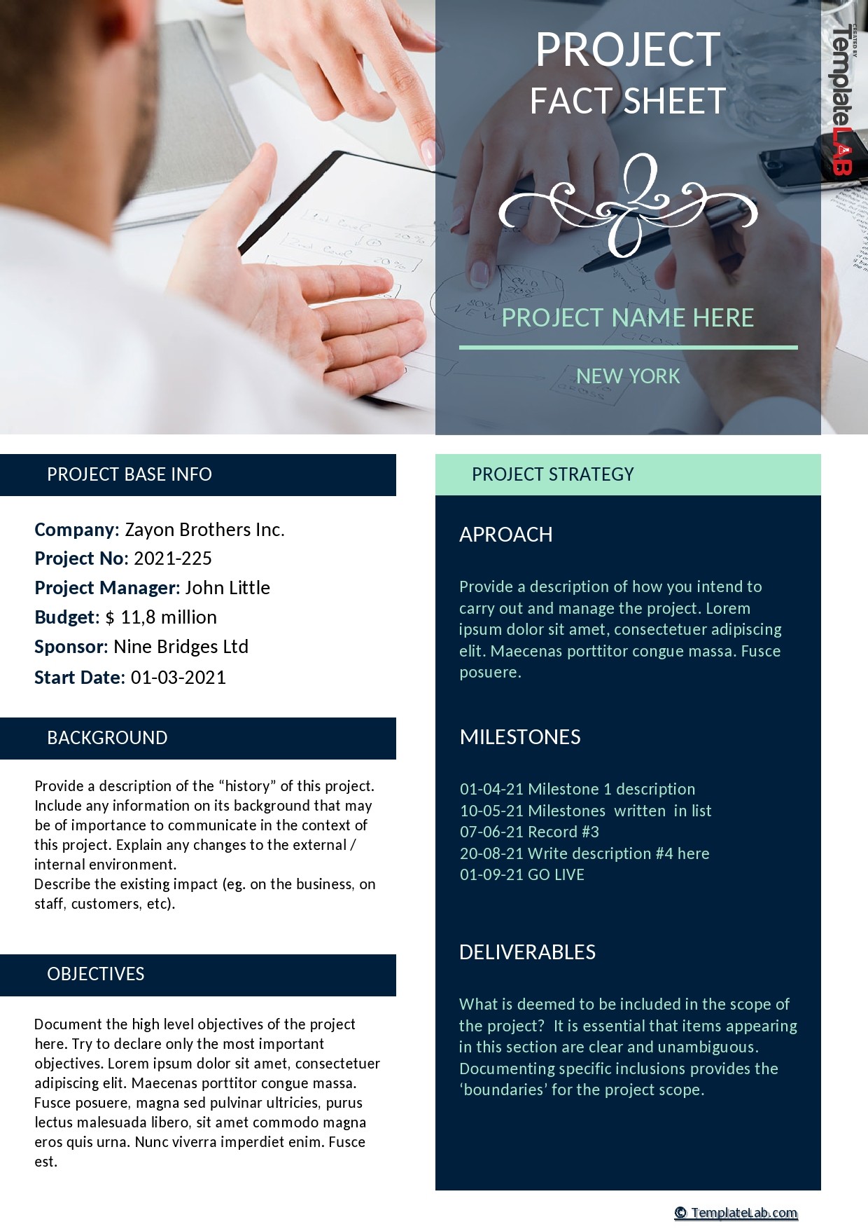 Printable Fact Sheet Template