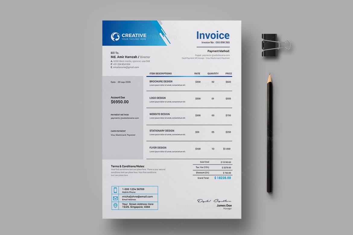 Professional Invoice Template