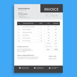 Invoice Look Professional Professional Invoice Template