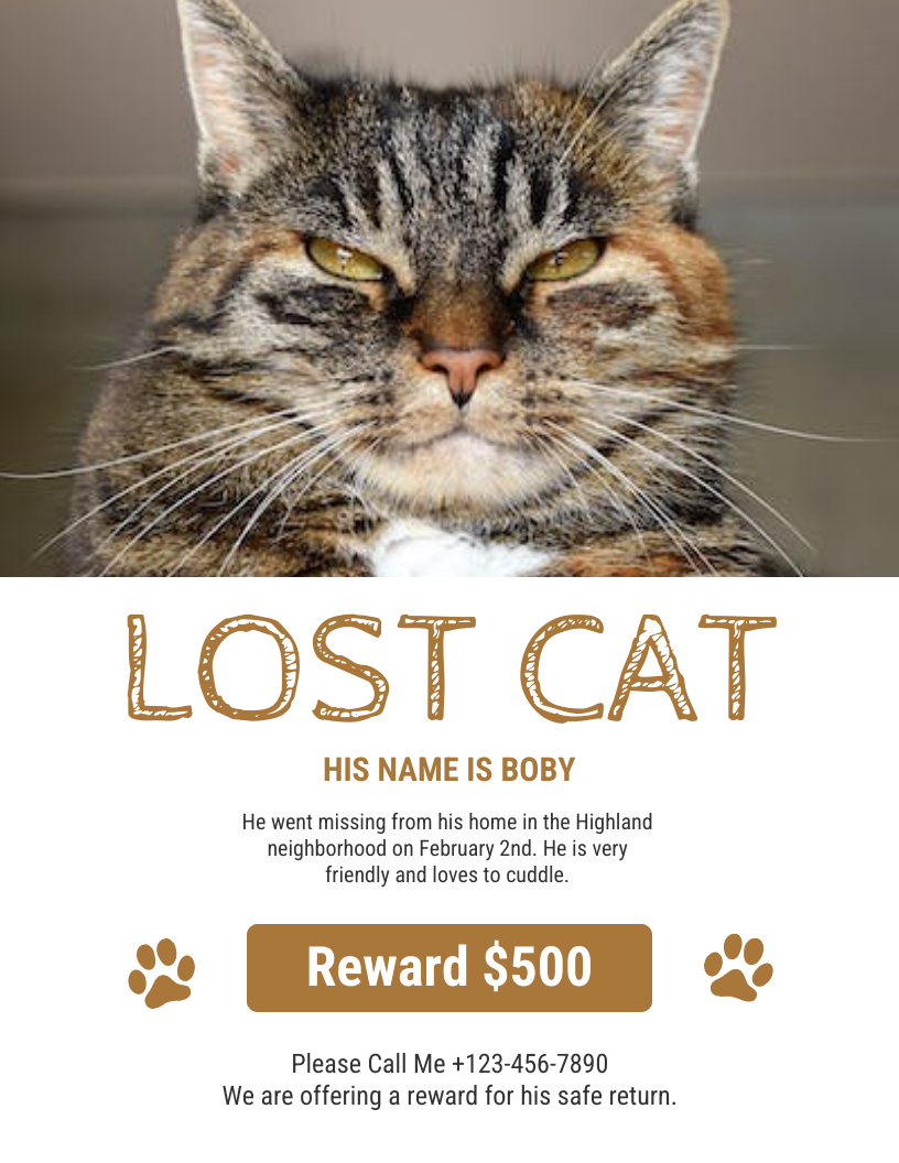 Sample Missing Cat Poster Template Sample Missing Cat Poster Template