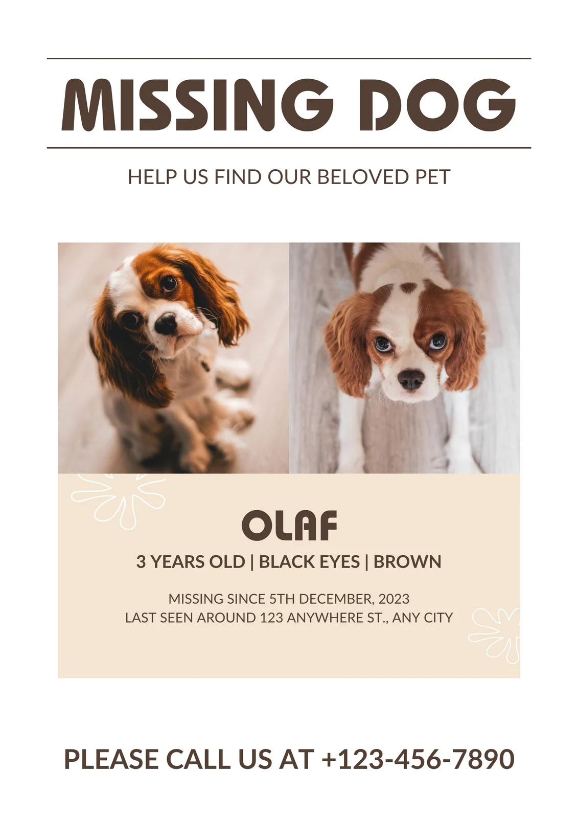 Sample Missing Dog Poster Template Sample Missing Dog Poster Template