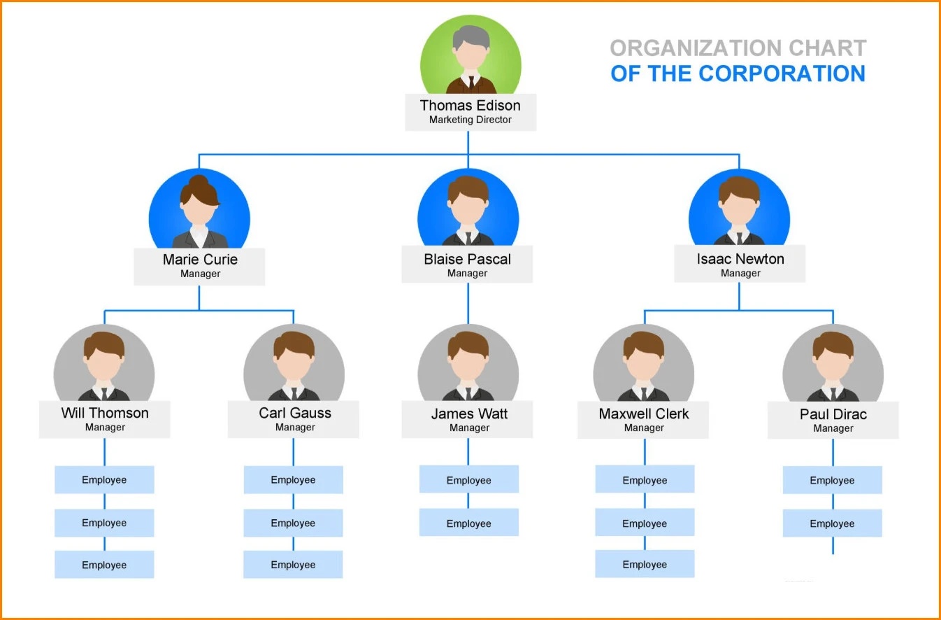 Sample of Company Chart Template