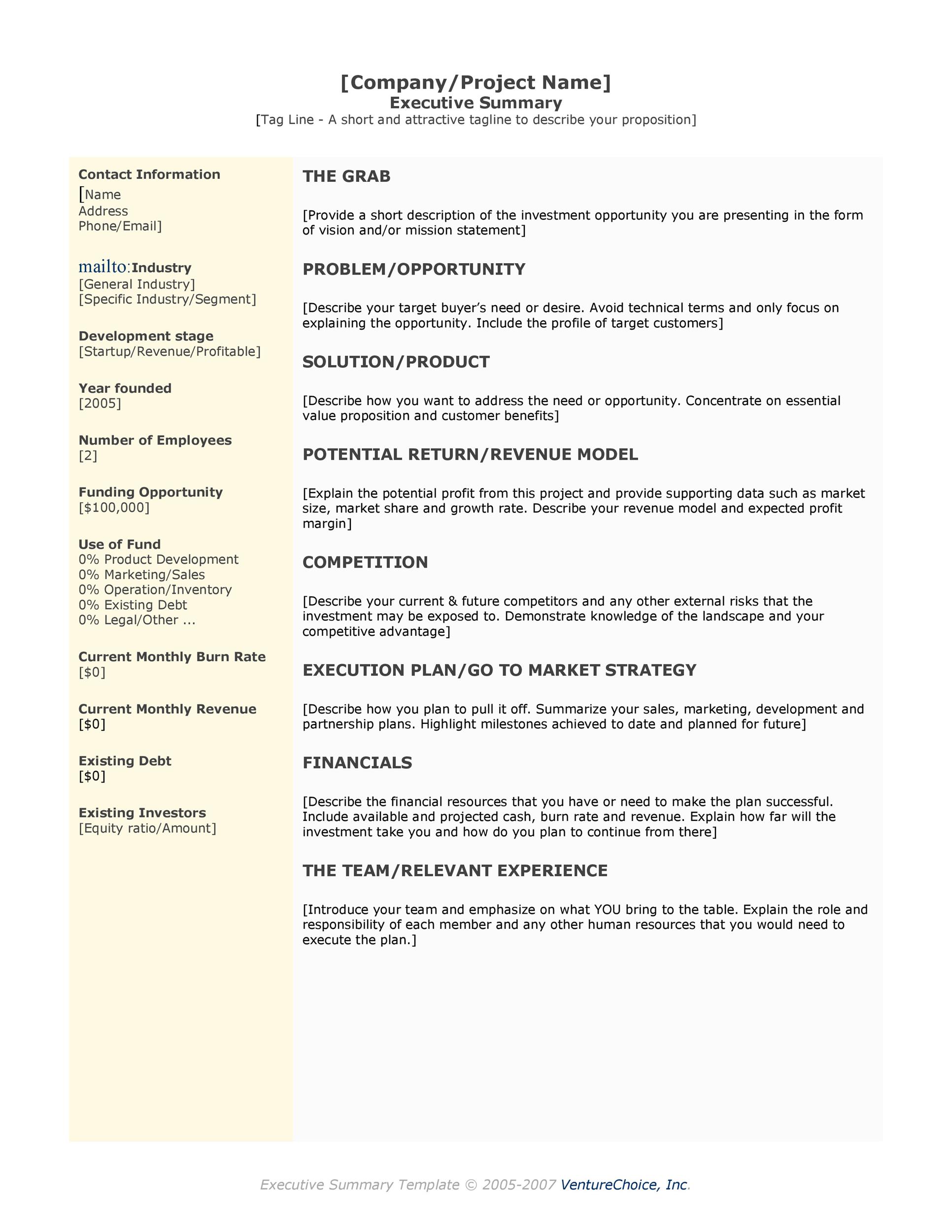 Sample of Executive Summary Template Sample of Executive Summary Template