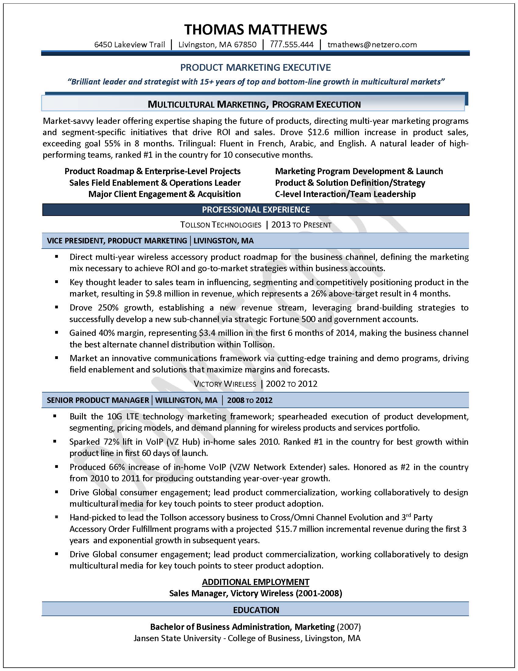 Simple Executive Resume Template Simple Executive Resume Template