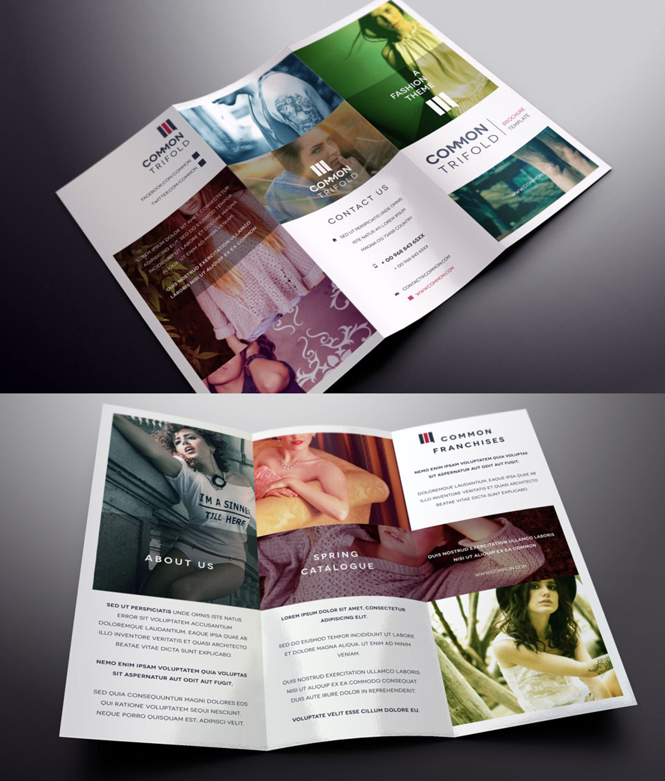 Tri Fold Brochure Template
