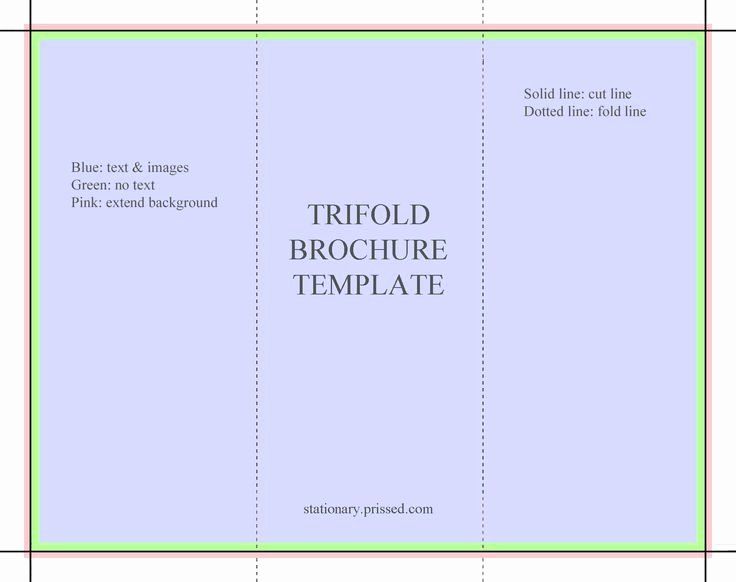 Tri Fold Brochure Template