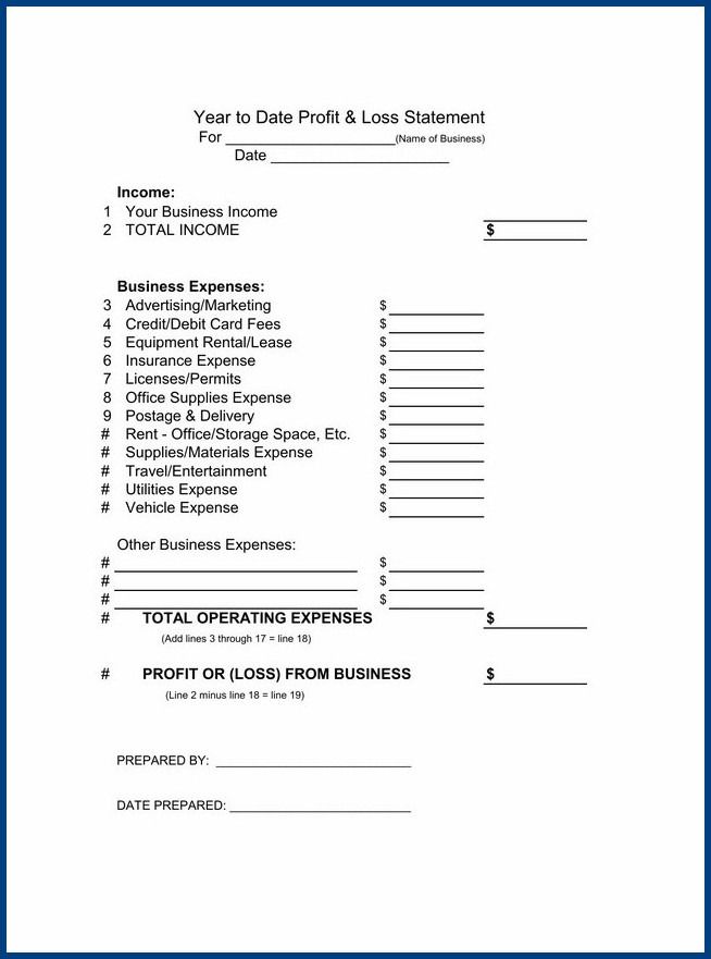 Year to Date Profit And Loss Statement