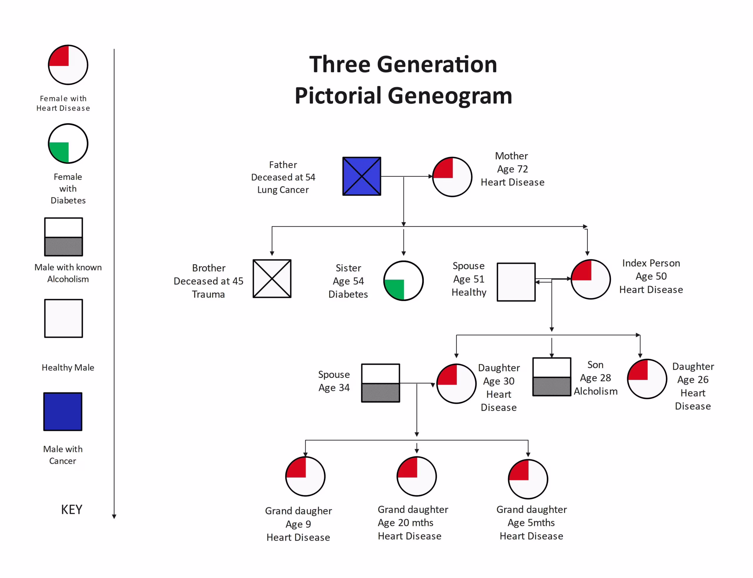genogram example