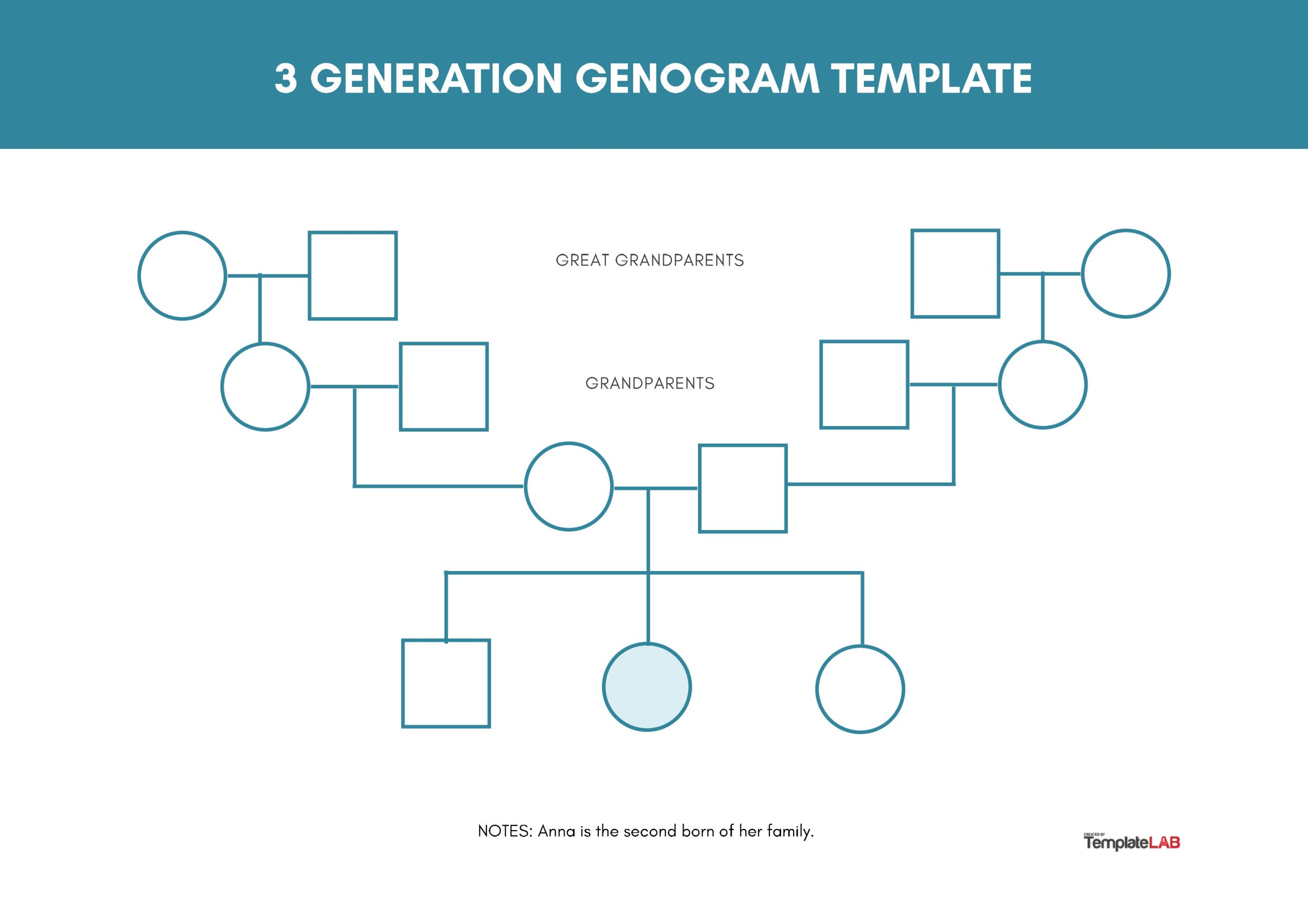 genogram template 3 generations